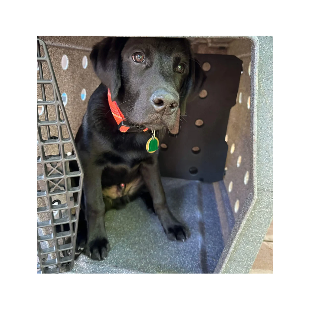 Ruffland - Kennel Divider